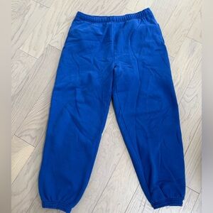 Aritzia Blue Megafleece Sweatpants - Large